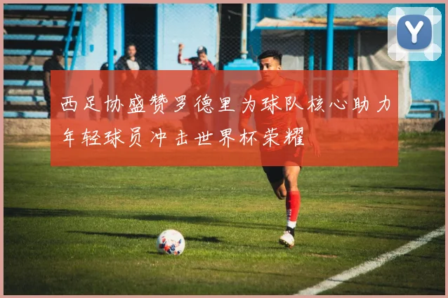 西足协盛赞罗德里为球队核心助力年轻球员冲击世界杯荣耀