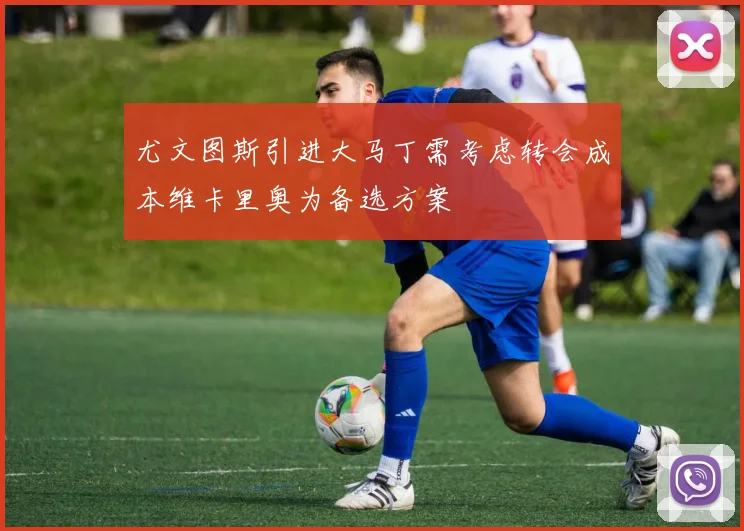 尤文图斯引进大马丁需考虑转会成本维卡里奥为备选方案