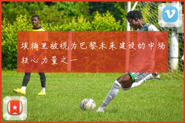 埃梅里被视为巴黎未来建设的中场核心力量之一