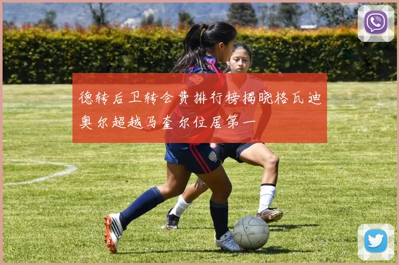 德转后卫转会费排行榜揭晓格瓦迪奥尔超越马奎尔位居第一